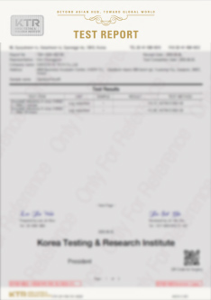 Light ion エビデンス