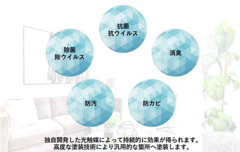 Light ion 自浄作用